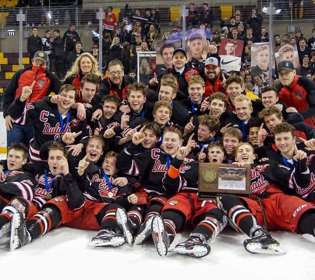 Minnesota High School Boys Hockey Section Playoffs Section 7AA 2018